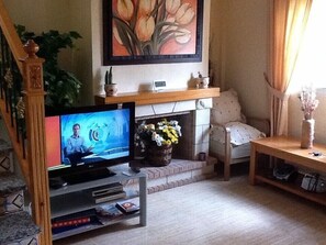 Televisión, chimenea, reproductor de DVD y libros