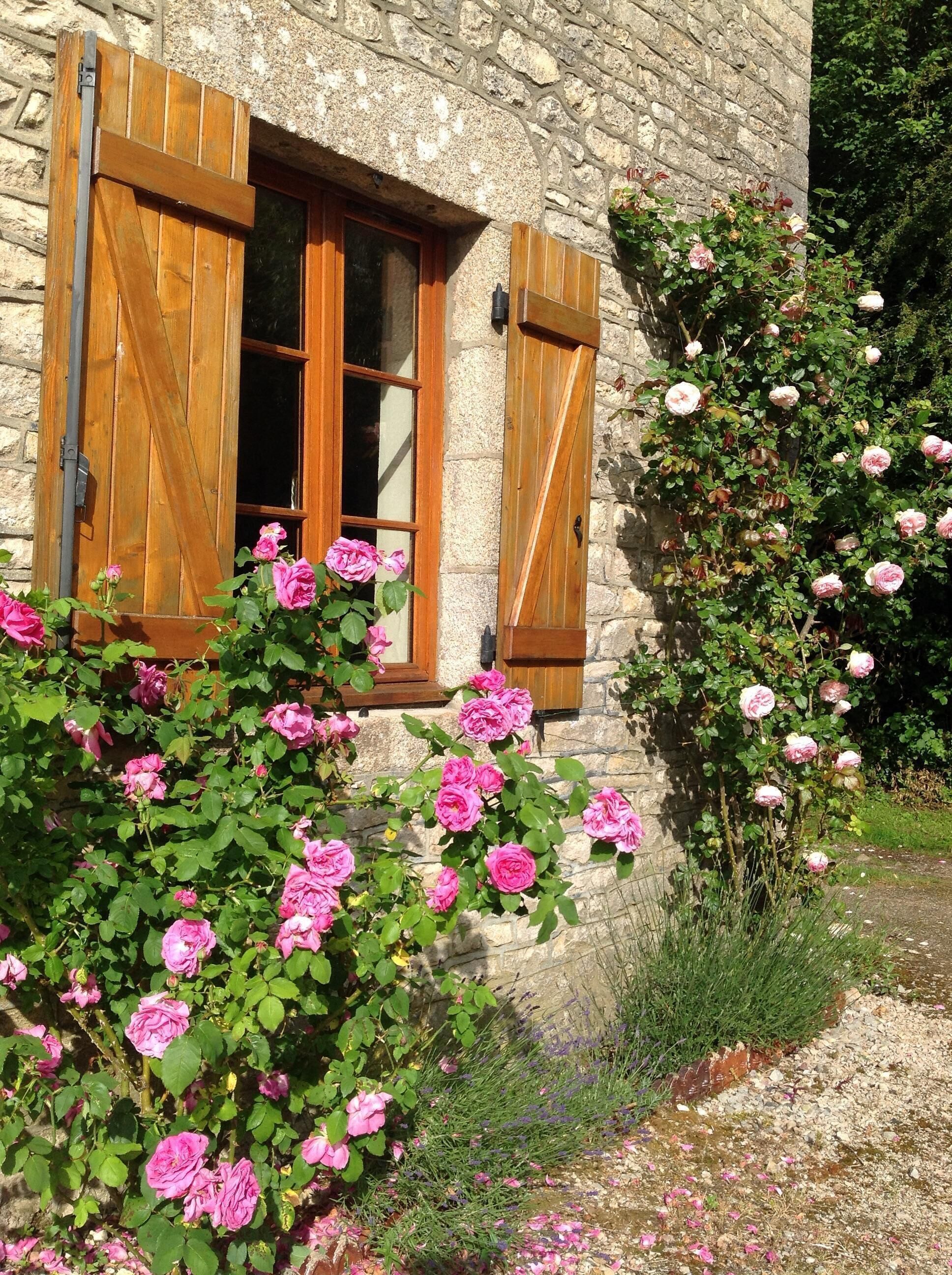 The dining room window surrounded by gloriously scented roses