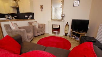 TV, fireplace, video games, DVD player