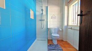 Combined shower/bathtub, hair dryer, towels, soap
