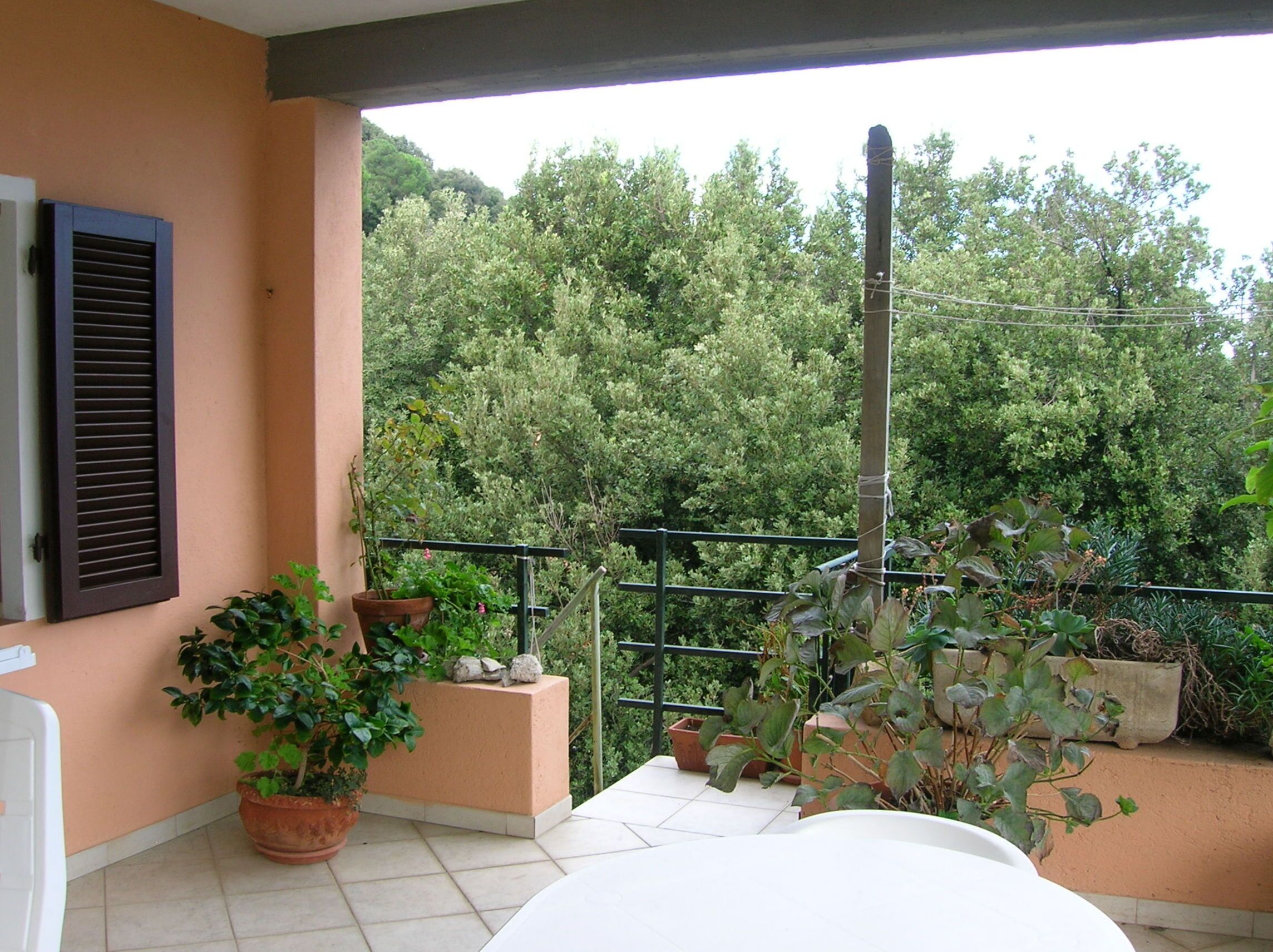 Un balcon agrémenté de plantes en pot, une table et une vue sur une végétation luxuriante.