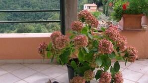 A balcony with a potted plant and a cat. - Tranquility and spectacular views (Marciana)