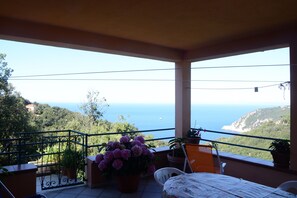 A balcony with a view of the sea, potted plants, and a table.