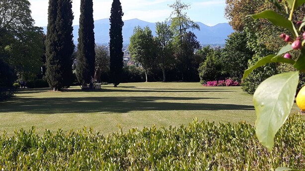 A well-maintained garden with tall cypress trees, a variety of shrubs, and a clear view of distant mountains. - Comfort and brightness in Lucca (Lucca)