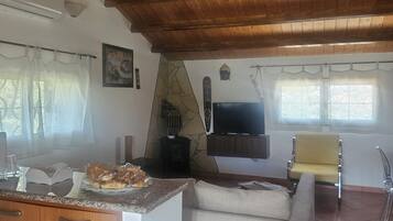 Smart TV, fireplace, DVD player, books
