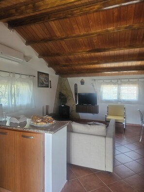 Smart TV, fireplace, DVD player, books