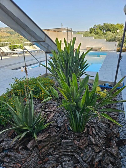 Villa surrounded by greenery with private pool 