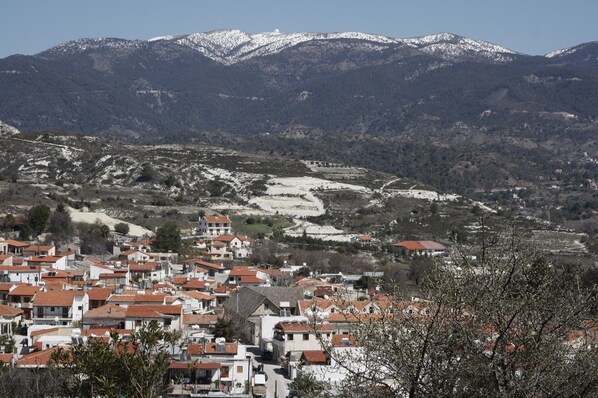 A residential area with houses, some with red roofs, and a valley with snow-covered mountains in the background.