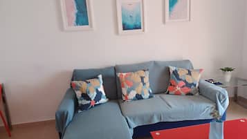 Smart TV, DVD player, books, video library