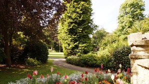 Un chemin de jardin bordé d’un mur de pierres sur la droite, entouré de différentes plantes à fleurs et d’un grand arbre à feuilles persistantes.