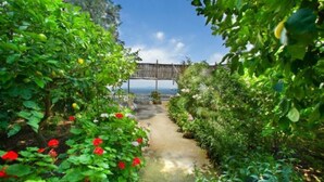 A garden pathway with a wooden bridge, lush greenery, and red flowers.