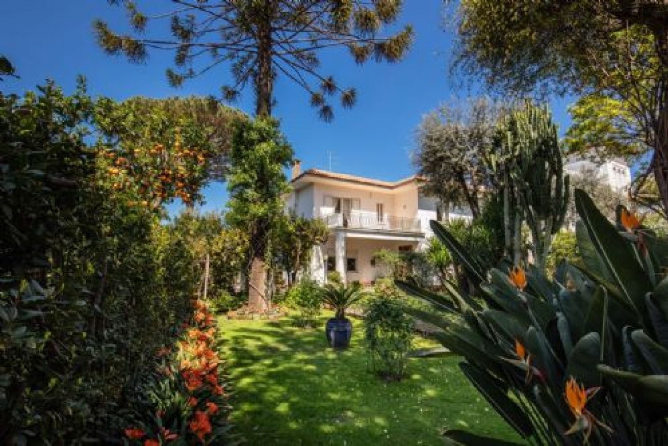 A house surrounded by lush greenery and a clear blue sky.