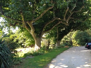 Property grounds - Renovated XVIII century dovecote (Avignon)