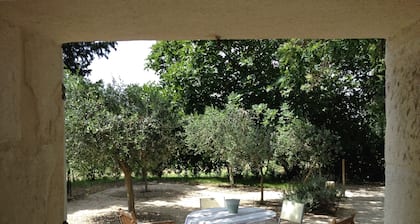 Renovated XVIII century dovecote