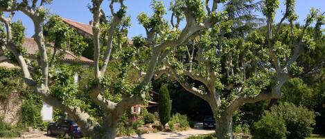 المنطقة المحيطة بالمنشأة