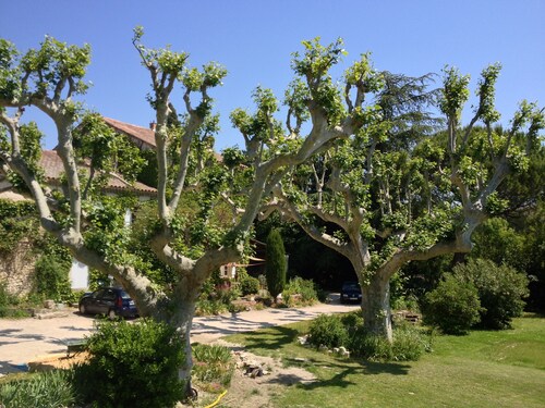 Renovated XVIII century dovecote