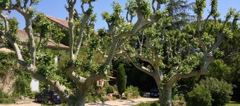 Renovated XVIII century dovecote