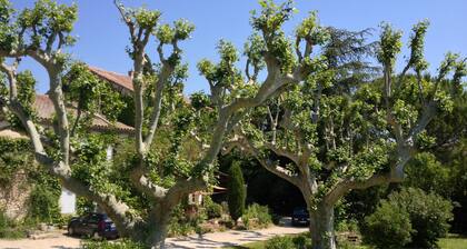 Renovated XVIII century dovecote