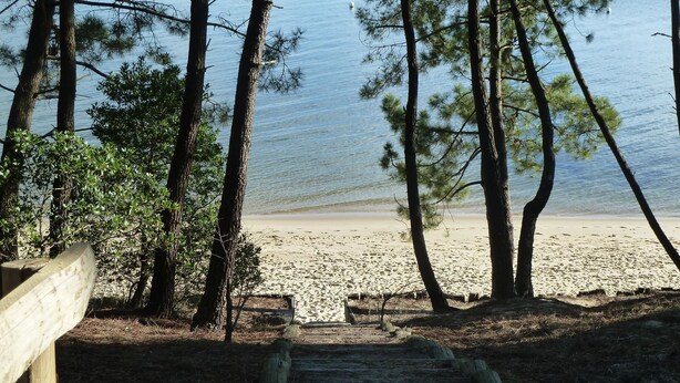 A wooden staircase leading to a sandy beach with trees and a clear view of the water. - duplex apartment 50m from the Arcachon Basin (Lège-Cap-Ferret)
