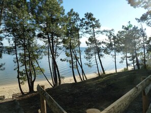 Playa en los alrededores 