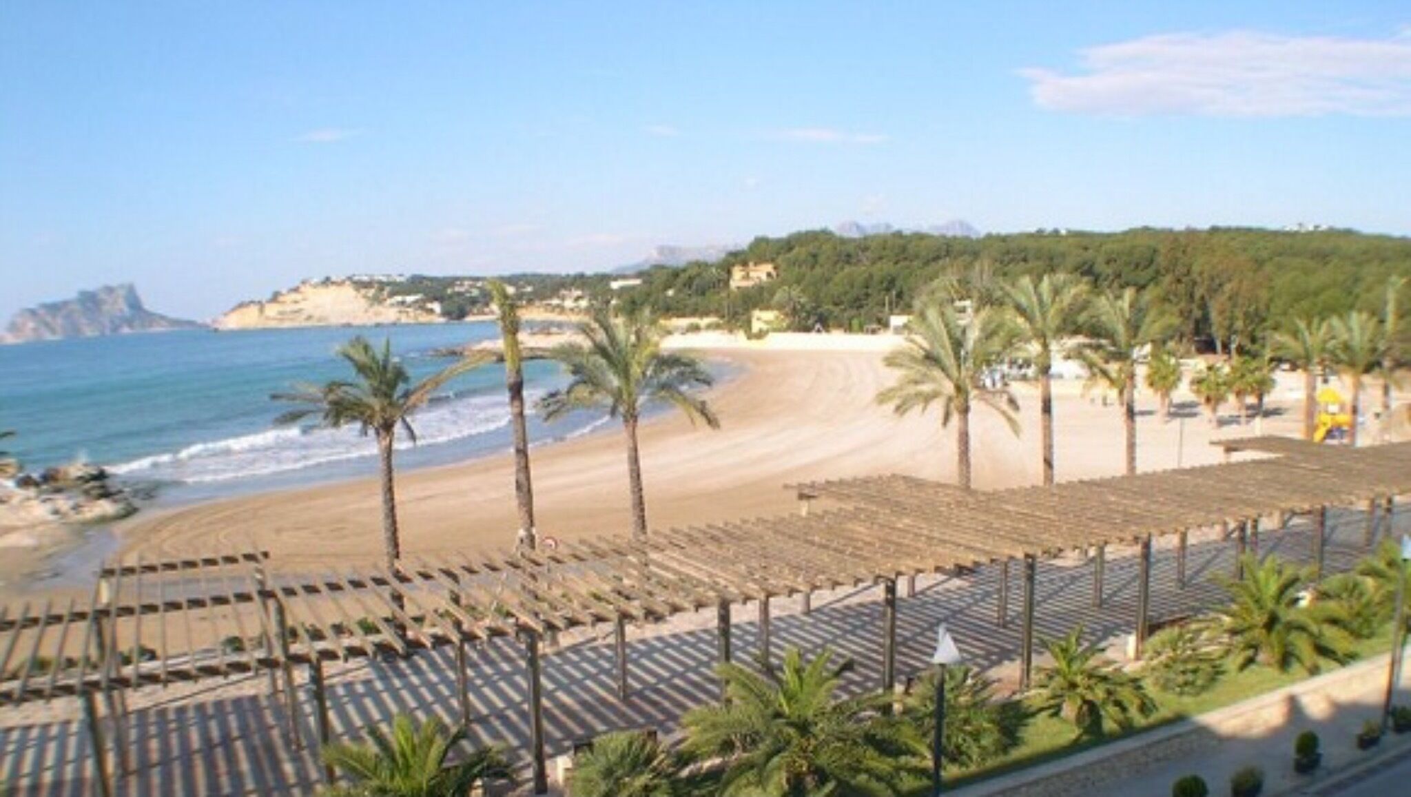 Ein Strand mit Palmen, sandigem Ufer und Blick auf den Ozean.