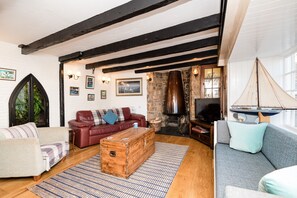 Una Smart TV, una chimenea, un reproductor de DVD, libros