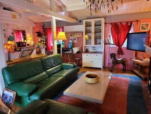Smart TV, fireplace, DVD player, books