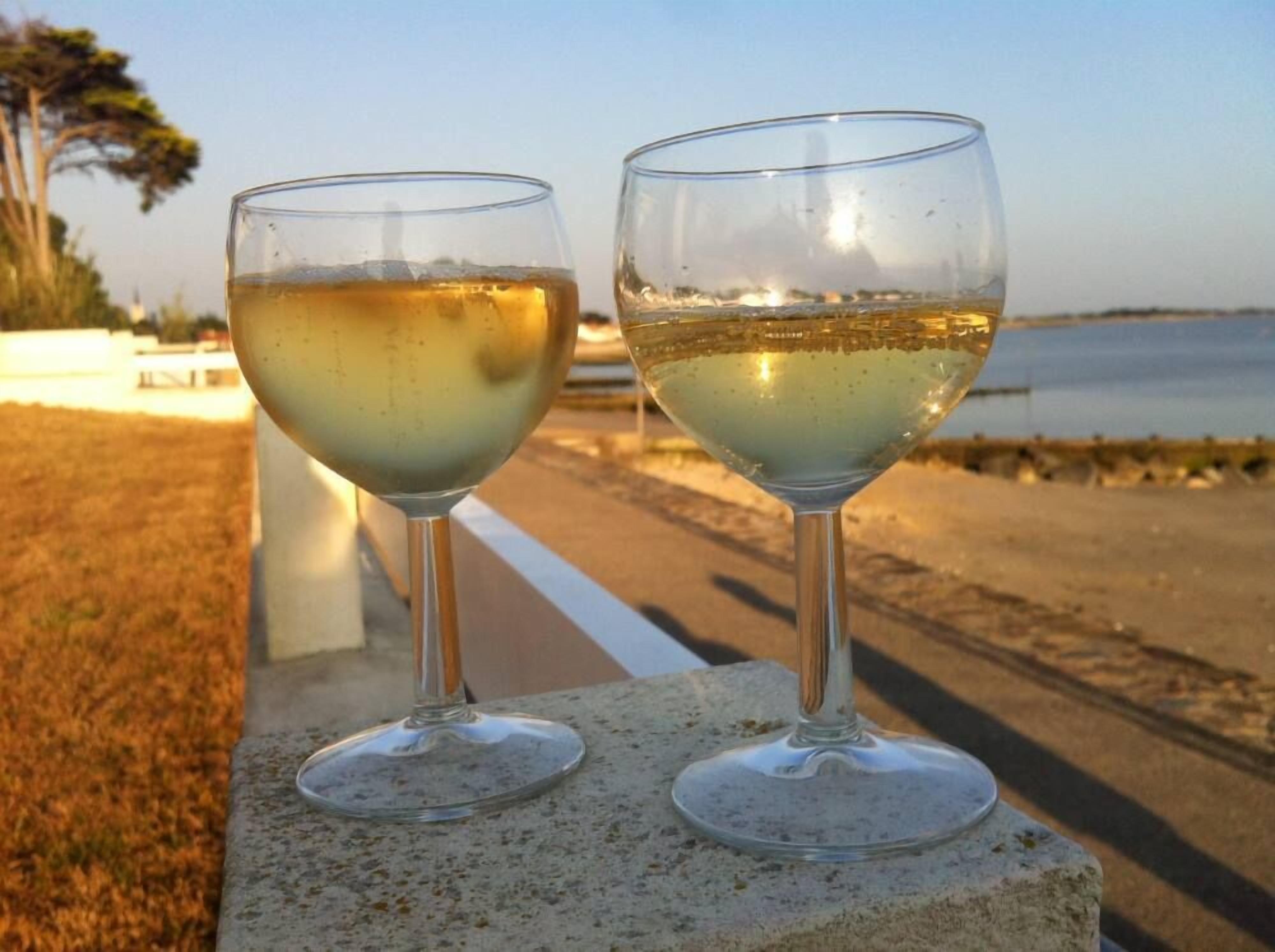 Two wine glasses on a stone ledge by a beach.