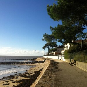 Plage à proximité, chaises longues, serviettes de plage