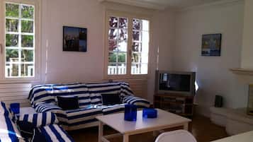 TV connectée, cheminée, livres