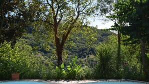Une piscine entourée d’une végétation luxuriante et d’arbres.
