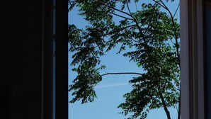 Una puerta abierta que da a una habitación con vista al mar, un sofá blanco y un árbol.