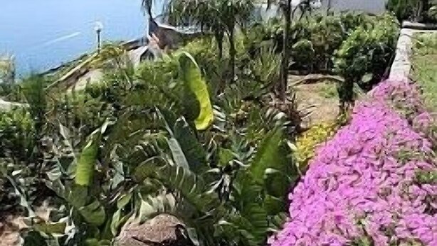Un paisaje costero con una casa, abundante vegetación y vista al mar.