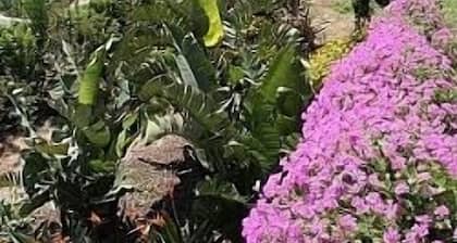 Un Superbe villa sur la cÎte amalfitaine Avec vues sur la mer et de grands jardins privés