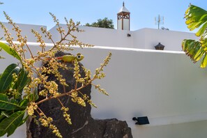 Exterior detail - Villa With Private Heated Pool, Large Terrace & BBQ Area, Aircon, WIFI, TV Box (Playa Blanca)