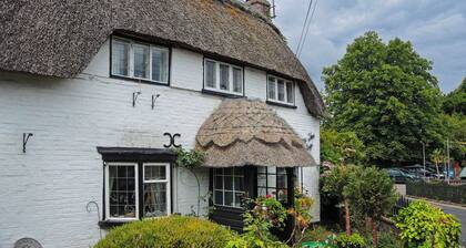 New Forest cottage, sleeps up to 10. Looks directly on to the Forest