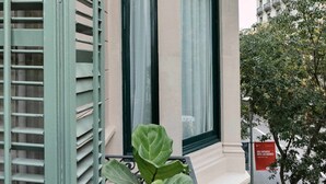 Facciata di un edificio con una finestra dotata di tenda verde, un balcone con persiane verdi e una piccola pianta.