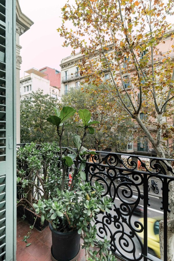 Un balcon agrémenté de plantes en pot, une balustrade en fer forgé et une vue sur une rue où l’on aperçoit une voiture jaune.
