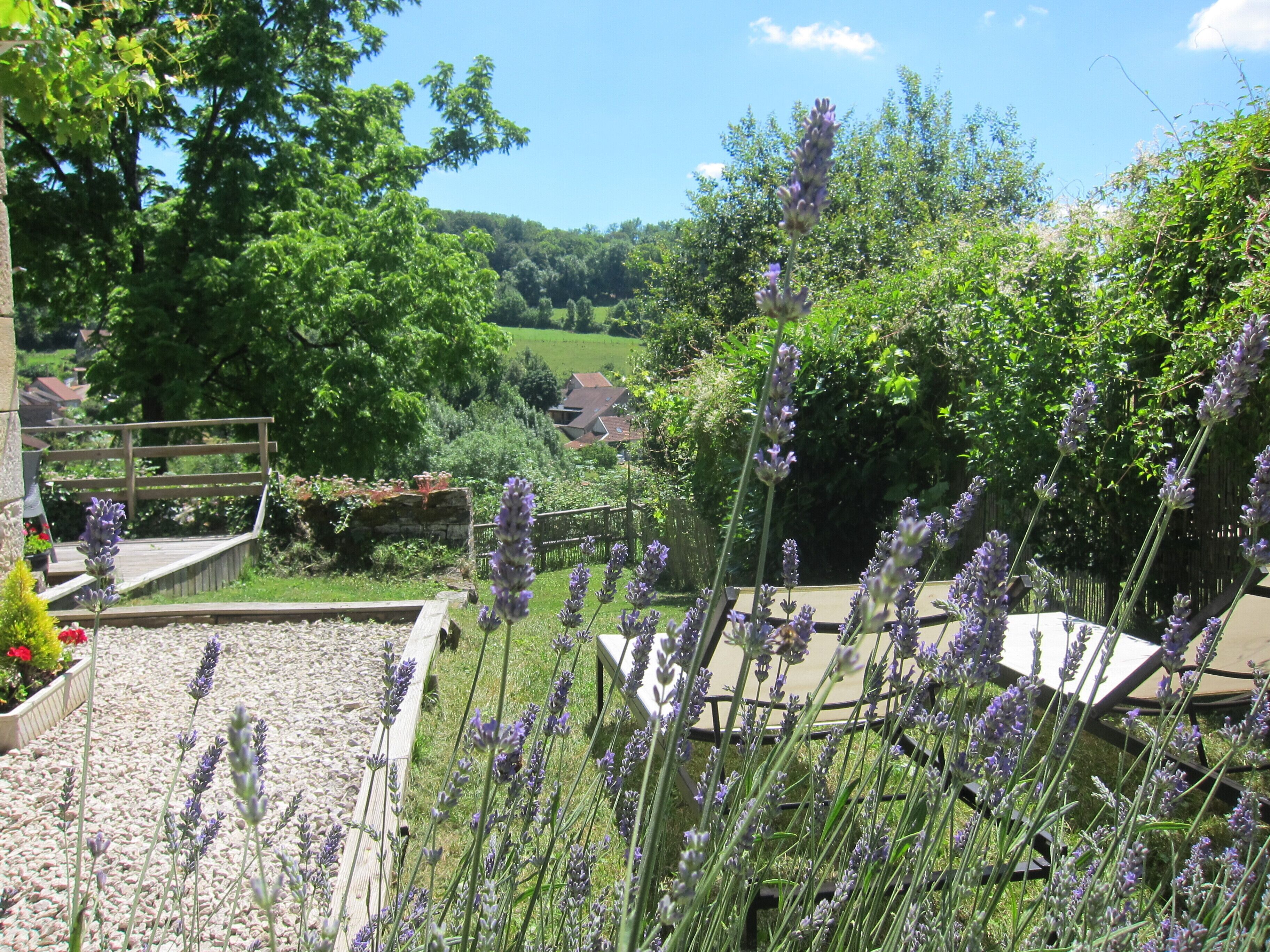 Un jardín con plantas de lavanda y una terraza de madera con vistas a un paisaje rural.