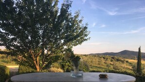 Ein Tisch im Freien mit freiem Blick auf eine Landschaft, Bäume und sanfte Hügel in der Ferne.