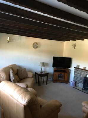 A living room with a sofa, a TV, a lamp, and a fireplace. - River View - Cosy country cottage. Ideal for a family and pets welcome. (Frosterley, County Durham)