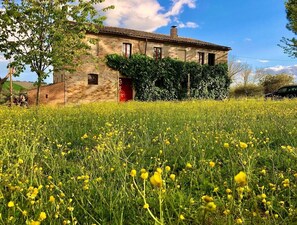 A rustic stone building with a red door, surrounded by a field of yellow flowers. - Spacious ground floor apartment & Private Pool & large garden. wifi. Sleeps 8. (Cingoli)