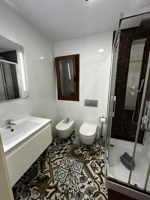 Shower, hair dryer, bidet, towels