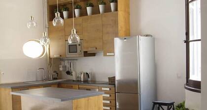 APPARTEMENT DE STANDING, du XVIIIe SiÚcle, dans le centre historique piétonnier