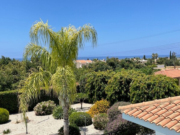Un giardino con una palma, siepi varie e un tetto in tegole.