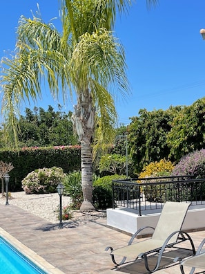 A poolside area with lounge chairs, a palm tree, and various shrubs and flowers.