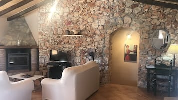 Televisie, een open haard, een dvd-speler en boeken