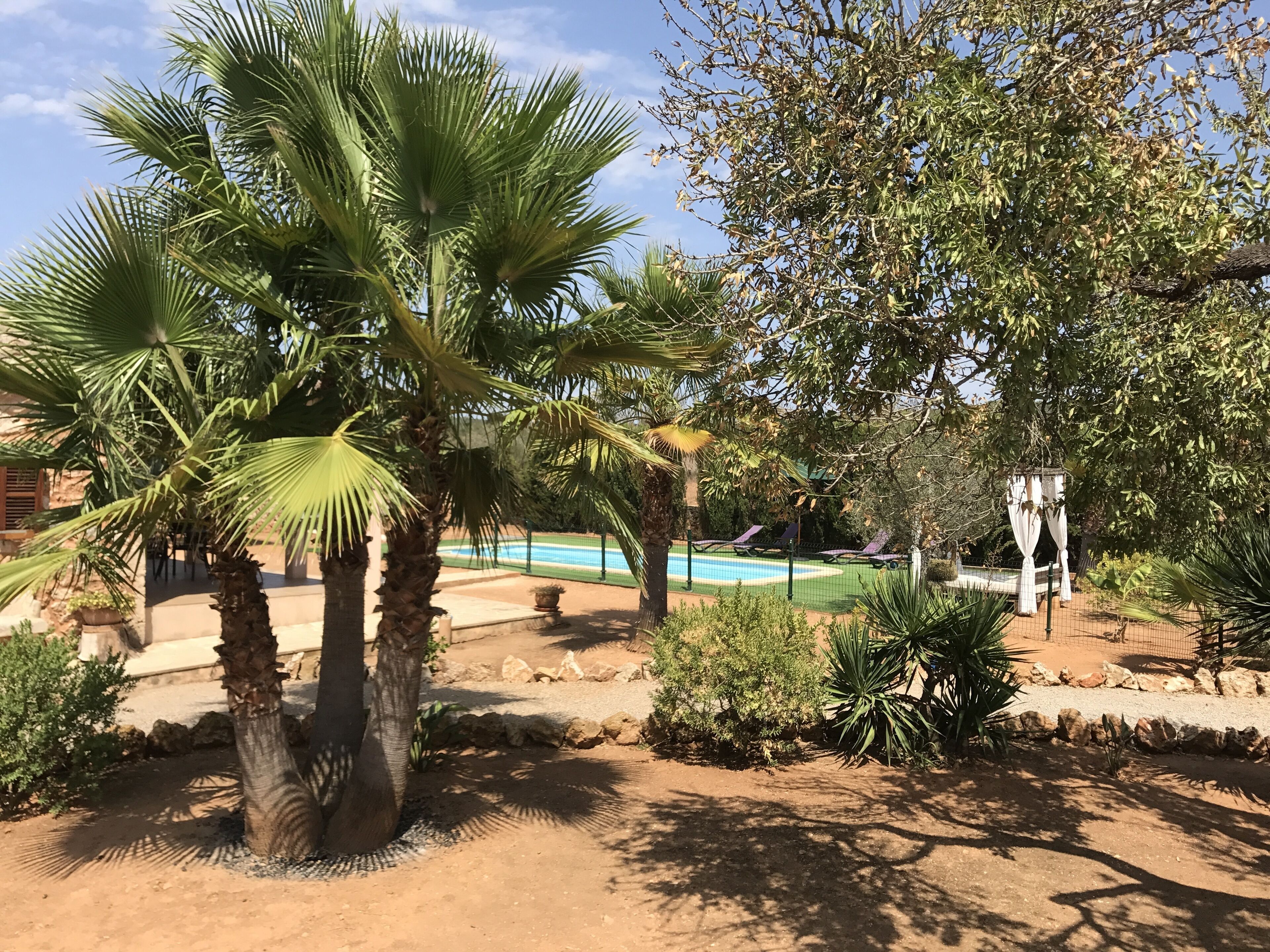 Zona de piscina con palmeras y una terraza cercada.