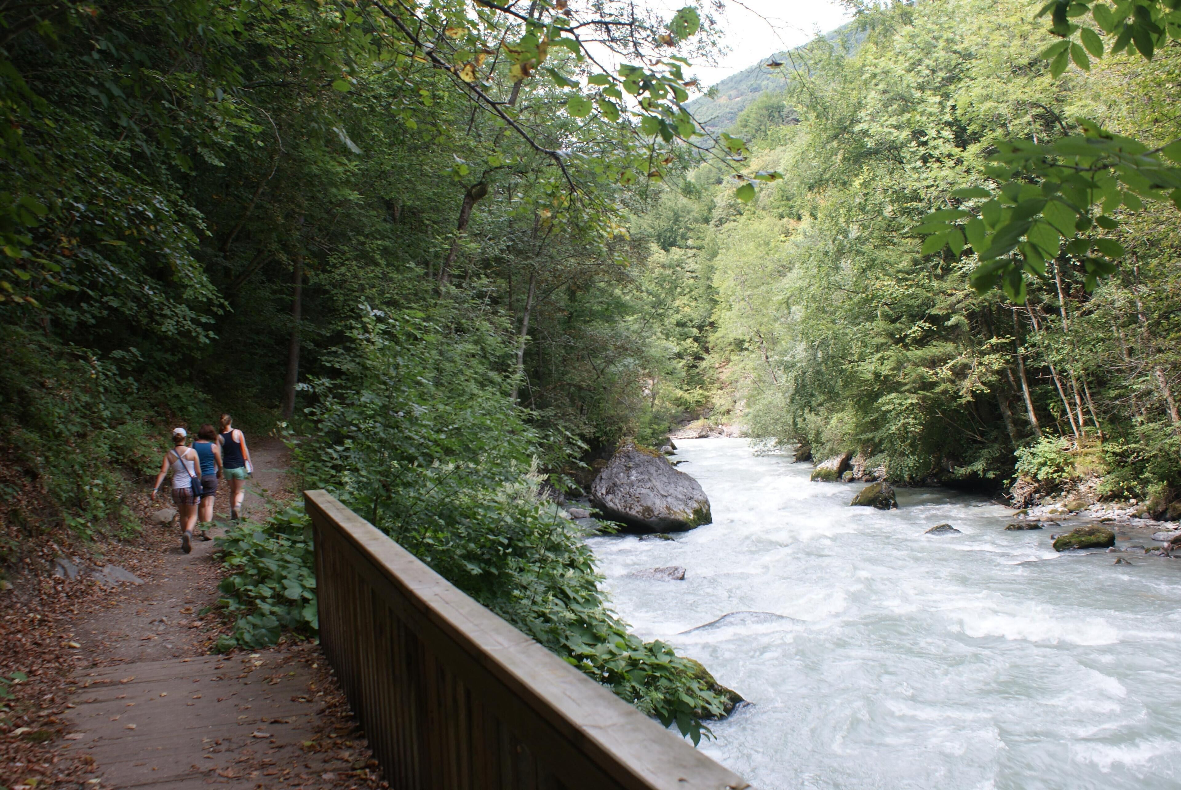 A wooden bridge over a river with a path on the left and dense greenery on both sides.