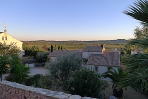 House and evening view across vineyards from top of drive
